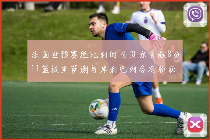 法国世预赛胜比利时戈贝尔贡献8分11篮板里萨谢与库利巴利各有斩获