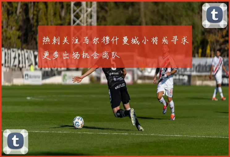 热刺关注马尔穆什曼城小将或寻求更多出场机会离队