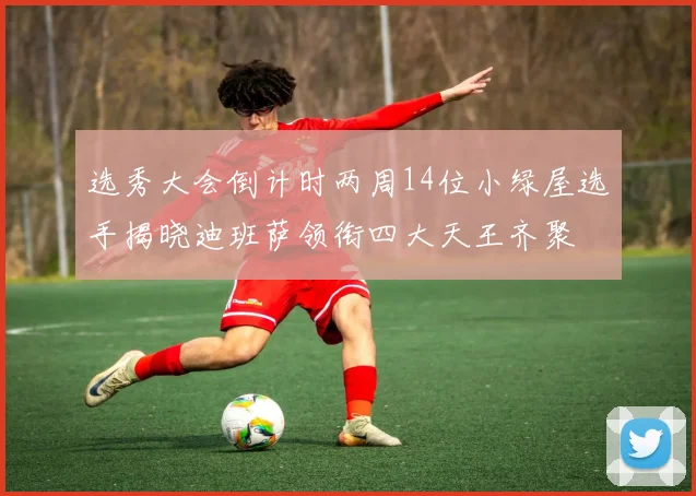 选秀大会倒计时两周14位小绿屋选手揭晓迪班萨领衔四大天王齐聚